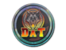 dAT team (Holo) | Cologne 2014