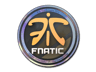 Fnatic (Holo) | Cologne 2014