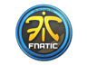 Fnatic | Cologne 2014