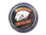 Virtus.Pro (Holo) | Cologne 2014