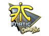 Fnatic (Foil) | Cologne 2015