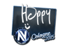 Happy | Cologne 2015