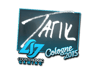 tarik | Cologne 2015