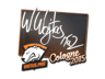TaZ | Cologne 2015
