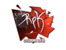 RpK (Foil) | Cologne 2016
