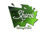 Shara | Cologne 2016