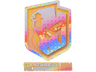 PGL (Holo) | Copenhagen 2024