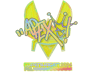 apEX (Holo) | Copenhagen 2024