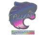 FalleN (Holo) | Copenhagen 2024
