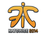 Fnatic | Katowice 2014