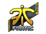 Fnatic (Foil) | Katowice 2015