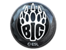 BIG (Foil) | Katowice 2019
