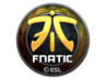 Fnatic (Foil) | Katowice 2019