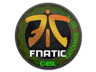 Fnatic (Holo) | Katowice 2019