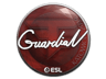 GuardiaN | Katowice 2019