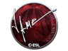 Jame (Foil) | Katowice 2019