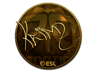 KRIMZ (Gold) | Katowice 2019