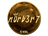 n0rb3r7 (Gold) | Katowice 2019