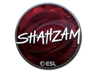 ShahZaM (Foil) | Katowice 2019