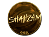ShahZaM (Gold) | Katowice 2019