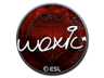 woxic (Foil) | Katowice 2019