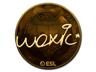 woxic (Gold) | Katowice 2019