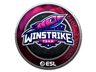 Winstrike Team (Foil) | Katowice 2019