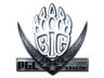 BIG (Foil) | Krakow 2017