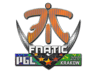 Fnatic (Holo) | Krakow 2017