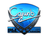cajunb (Foil) | Krakow 2017