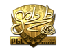 gob b (Gold) | Krakow 2017