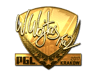 TaZ (Gold) | Krakow 2017