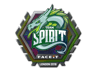 Team Spirit (Holo) | London 2018