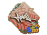 ANNIHILATION | Rio 2022