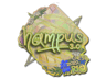 hampus (Holo) | Rio 2022