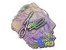 Jame (Holo) | Rio 2022