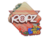 ropz | Rio 2022