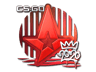 Astralis (Foil) | 2020 RMR