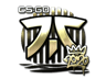 Fnatic (Gold) | 2020 RMR
