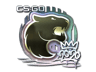 FURIA (Foil) | 2020 RMR