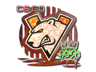 Virtus.pro (Holo) | 2020 RMR