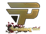 paiN Gaming (Gold) | Shanghai 2024