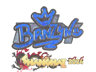 brnz4n (Holo) | Shanghai 2024