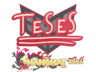 TeSeS | Shanghai 2024